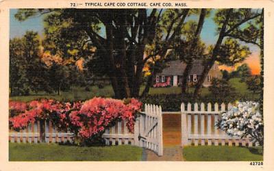 Typical Cape Cod Cottage Dennis, Massachusetts Postcard