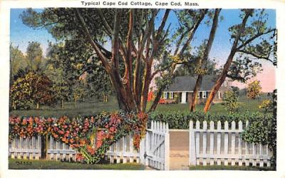 Typical Cape Cod Cottage Dennis, Massachusetts Postcard