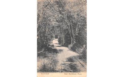 Birch Road East Northfield, Massachusetts Postcard