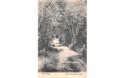 Birch Road East Northfield, Massachusetts Postcard