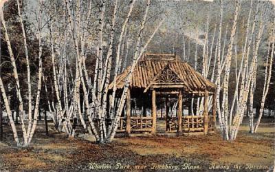 Among the Birches Fitchburg, Massachusetts Postcard