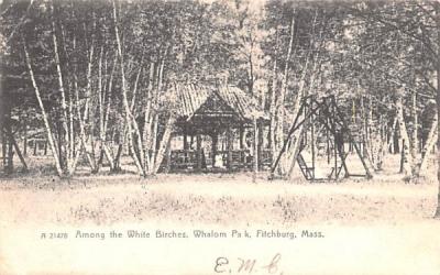 Among the White Birches Fitchburg, Massachusetts Postcard