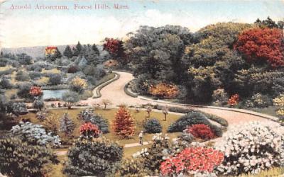 Arnold Arboretum Forest Hill, Massachusetts Postcard