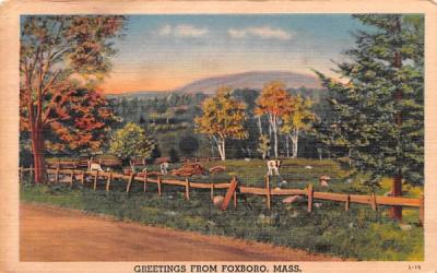 Greetings from Foxboro Massachusetts Postcard