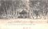 Among the White Birches Fitchburg, Massachusetts Postcard