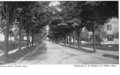 Chestnut Street Gardner, Massachusetts Postcard