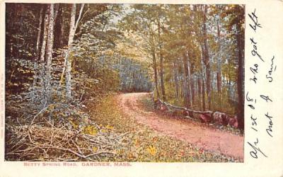 Betty Spring Road Gardner, Massachusetts Postcard