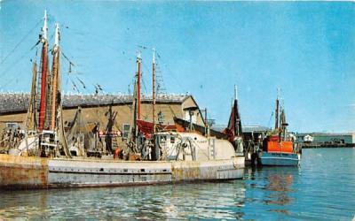 Fishing Trawlers in Port Gloucester, Massachusetts Postcard