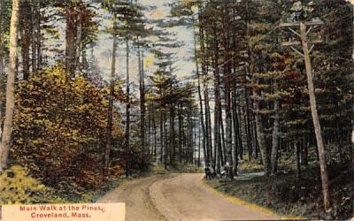 Main Walk at the Pines Groveland, Massachusetts Postcard