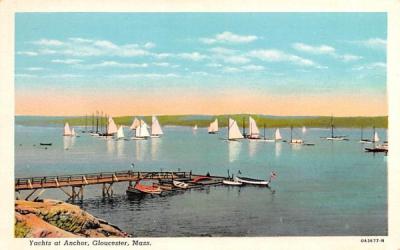 Yachts at Anchor Gloucester, Massachusetts Postcard