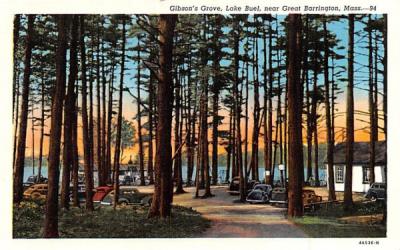 Gibson's Grove Greenfield, Massachusetts Postcard