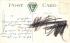 The Pines Haverhill, Massachusetts Postcard 1