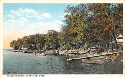 Nelson's GroveLakeville, Massachusetts Postcard