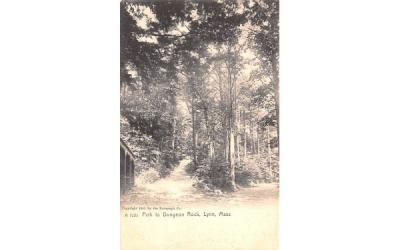 Path to Dungeon RockLynn, Massachusetts Postcard