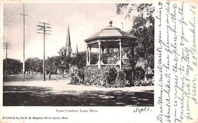 Lynn Common Massachusetts Postcard