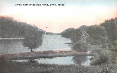 Upper End of Sluice PongLynn, Massachusetts Postcard