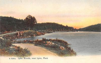 Lynn Woods Massachusetts Postcard