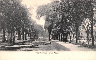 The Common  Lynn, Massachusetts Postcard