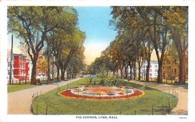 The Common Lynn, Massachusetts Postcard