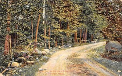 Road to the Haynes Reservoir Leominster, Massachusetts Postcard