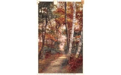 A Woodland Path at Hotel Aspinwall Lenox, Massachusetts Postcard