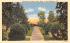 Tanglewood GardensLenox, Massachusetts Postcard