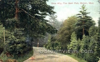 Drive Way, Pine Banks Park - Malden, Massachusetts MA Postcard