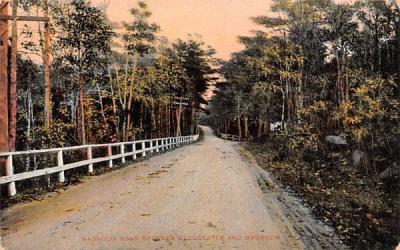 Magnolia Road Massachusetts Postcard
