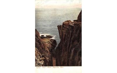 Rafe's ChasmMagnolia, Massachusetts Postcard