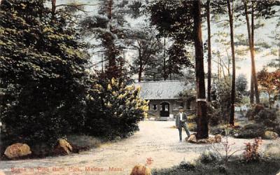 Scene in Pine ParkMalden, Massachusetts Postcard