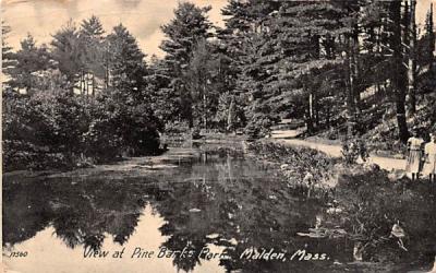 View at Pine Barks ParkMalden, Massachusetts Postcard