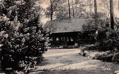 Scene in Pine Bank ParkMalden, Massachusetts Postcard