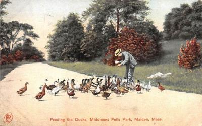 Feeding the DucksMalden, Massachusetts Postcard