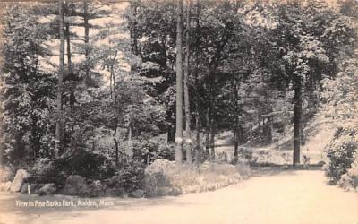 View in Pine Banks ParkMalden, Massachusetts Postcard