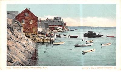 Tucker's WharfMarblehead , Massachusetts Postcard