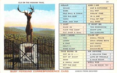Elk on The Mohawk Trail Massachusetts Postcard