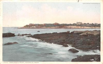 Coolidge's Point Magnolia, Massachusetts Postcard