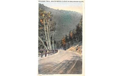 White Birch Curve in Cold River Glen Mohawk Trail, Massachusetts Postcard