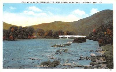 Looking up the Deerfield River Mohawk Trail, Massachusetts Postcard