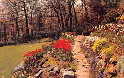 Rock Garden Misc, Massachusetts Postcard