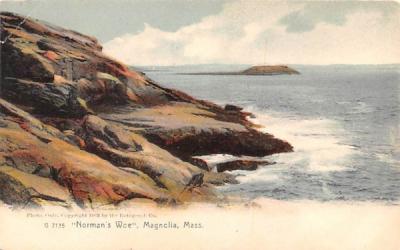 Norman's Woe Magnolia, Massachusetts Postcard