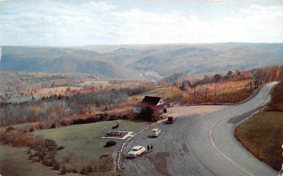 Deerfield Valley & River Mohawk Trail, Massachusetts Postcard