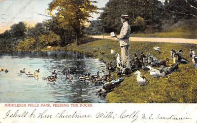 Middlesex Fells Park Massachusetts Postcard