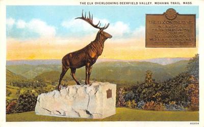 The Elk  Mohawk Trail, Massachusetts Postcard