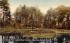 Pine Banks ParkMalden, Massachusetts Postcard
