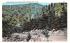 Approaching Cold River Bridge Mohawk Trail, Massachusetts Postcard
