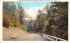 Through the Woods Approaching Drury Mohawk Trail, Massachusetts Postcard