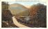 View of Mohawk Trail near Model Forest Nursery Massachusetts Postcard