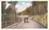 Mohawk Trail Massachusetts Postcard