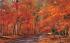 Autumn Leaves Misc, Massachusetts Postcard